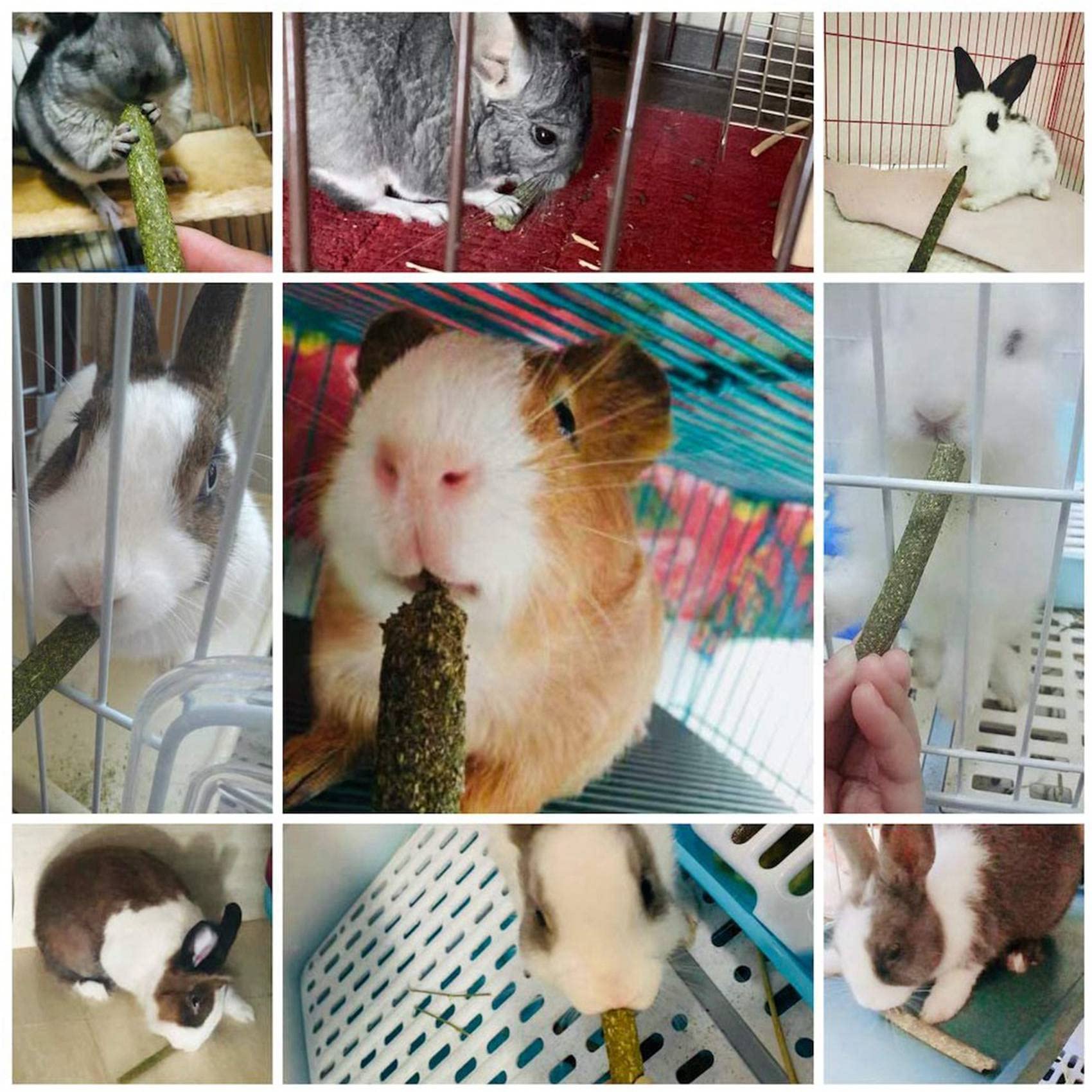 200 sztuk naturalna mieszana trawa kij szynszyla gryzaki dla świnki morskiej królik myszoskoczka papuga króliczek i inne małe zwierzęta