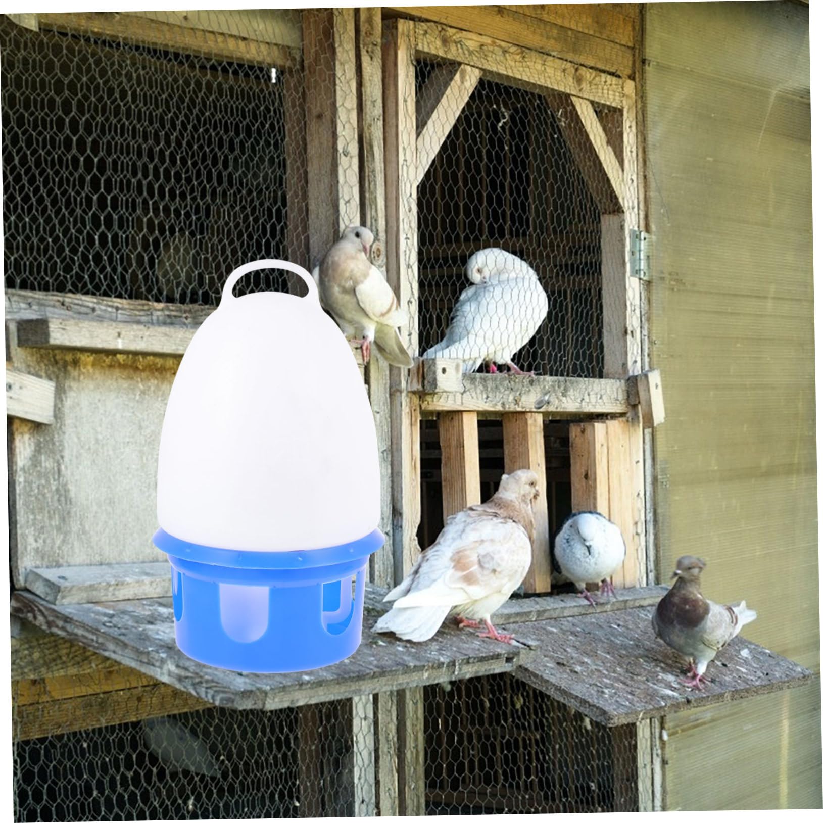 Pigeon Water Feeder Auto Drinking, 1 Pezzo, Pvc, Tondo | Blu, Rimovibile, Struttura Robusta, Facile da Pulire, per Parrocchetti e Uccelli, Uso Domestico