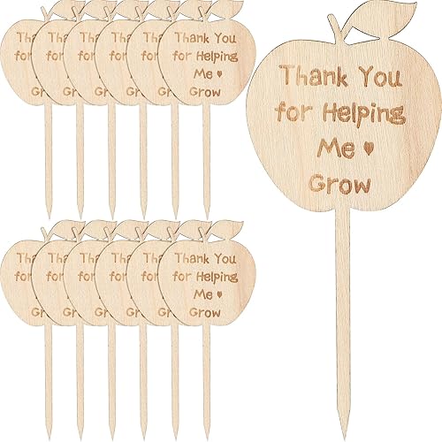 Yulejo 12 etiquetas de agradecimiento para suculentas con texto en inglés "Thank You for Helping Me Grow", regalos de agradecimiento de graduación,