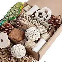 Kyouki Brinquedos de papagaio para pássaros, caixa de forrageamento natural para periquitos, calopsitas, conures, pássaros do amor e outros pássaros pequenos a médios (médios)