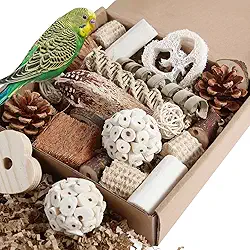Kyouki Brinquedos de papagaio para pássaros, caixa de forrageamento natural para periquitos, calopsitas, conures, pássaros do amor e outros pássaros pequenos a médios (médios)