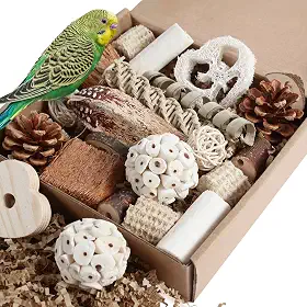Kyouki Brinquedos de papagaio para pássaros, caixa de forrageamento natural para periquitos, calopsitas, conures, pássaros do amor e outros pássaros pequenos a médios (médios)