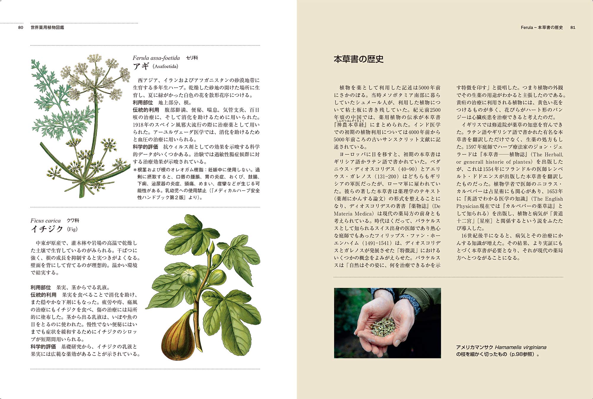 イギリス王立植物園キューガーデン版 世界薬用植物図鑑 シモンズ モニク ハウズ メラニー ジェイン アーヴィング ジェイソン 譲治 柴田 本 通販 Amazon