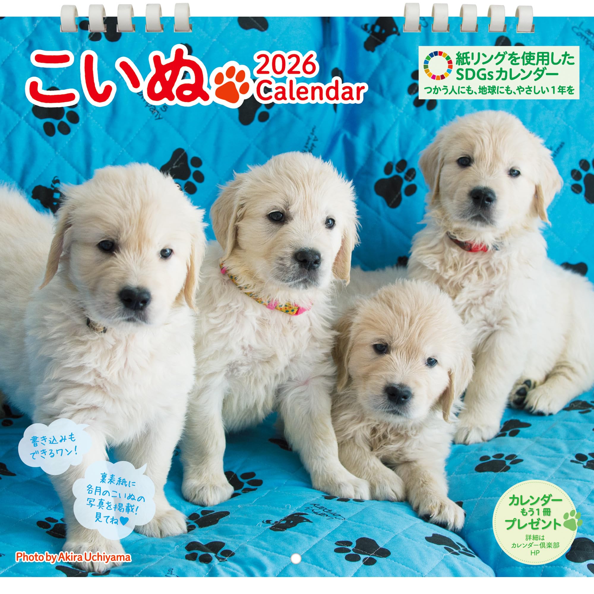 ①『犬』壁掛けチャリティーカレンダー5枚セット こいぬカレンダー 2026 壁掛け（B4変型／月めくり）｜かわいい子犬写真