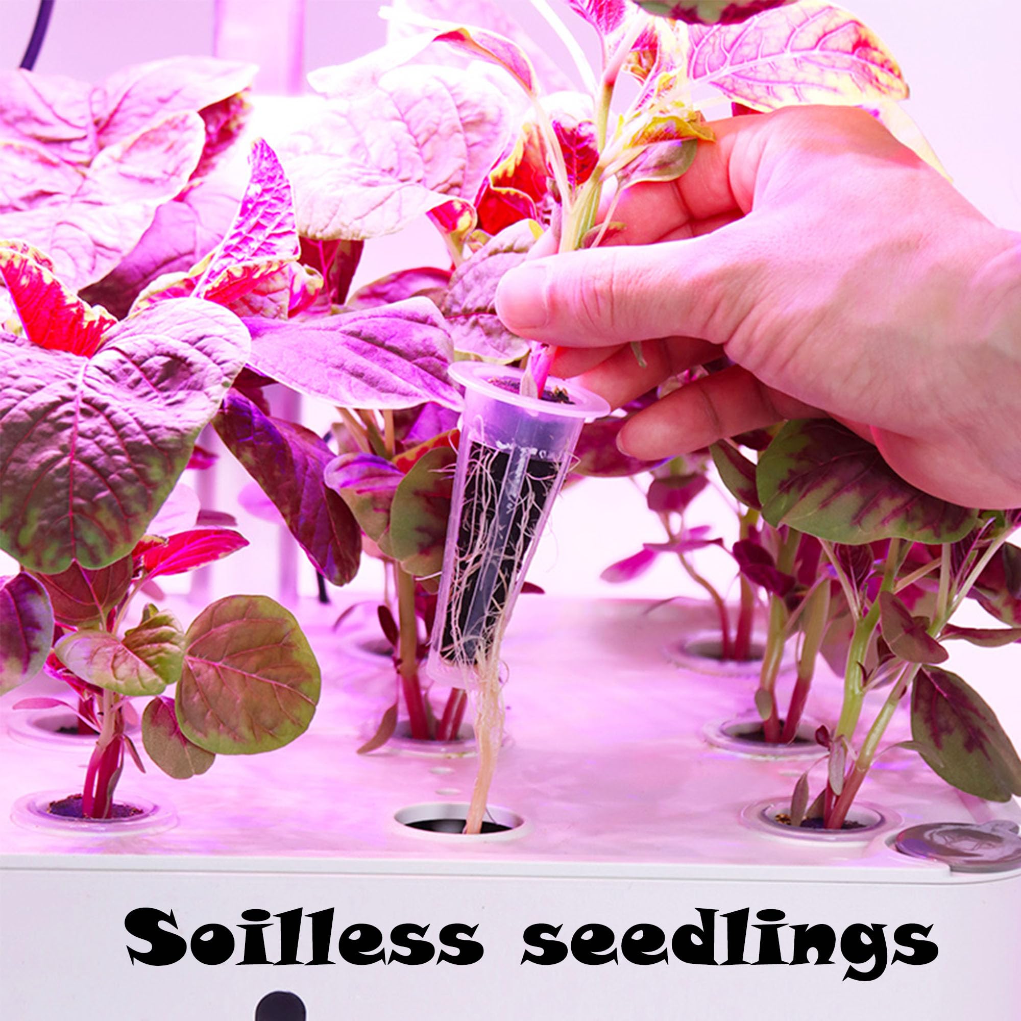 Kit per Coltivare Qualsiasi Cosa per la Coltura Idroponica Kit di Baccelli di Semi per Aerogarden Tappi per Piante in Lana di Roccia Idroponica (Lungo (Blocco da piantare + Cesto) 24)