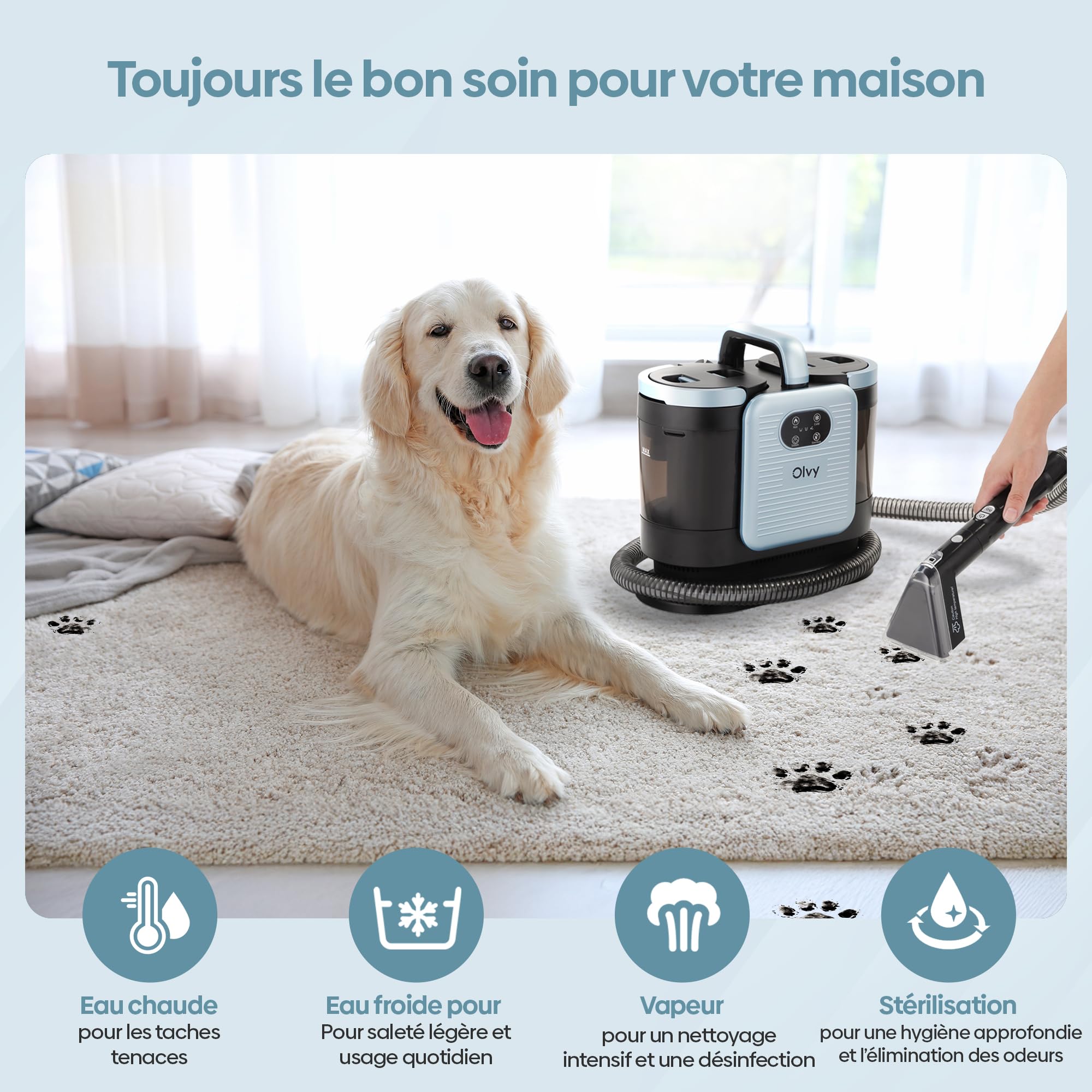 Olvy Nettoyeur de Tapis PRO – Aspirateur Injecteur-Extracteur avec Fonction Vapeur – Nettoyeur à Vapeur 100°C – Appareil Nettoyeur de Canapé – Nettoyeur de Tapis Humide – avec Détergent – 1650W – Nett