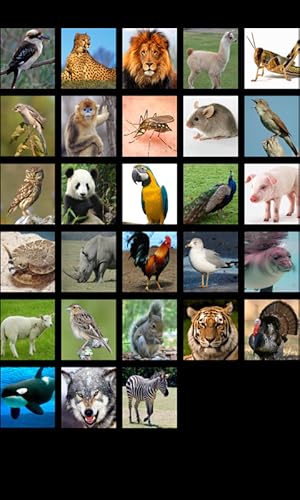 Som de animal