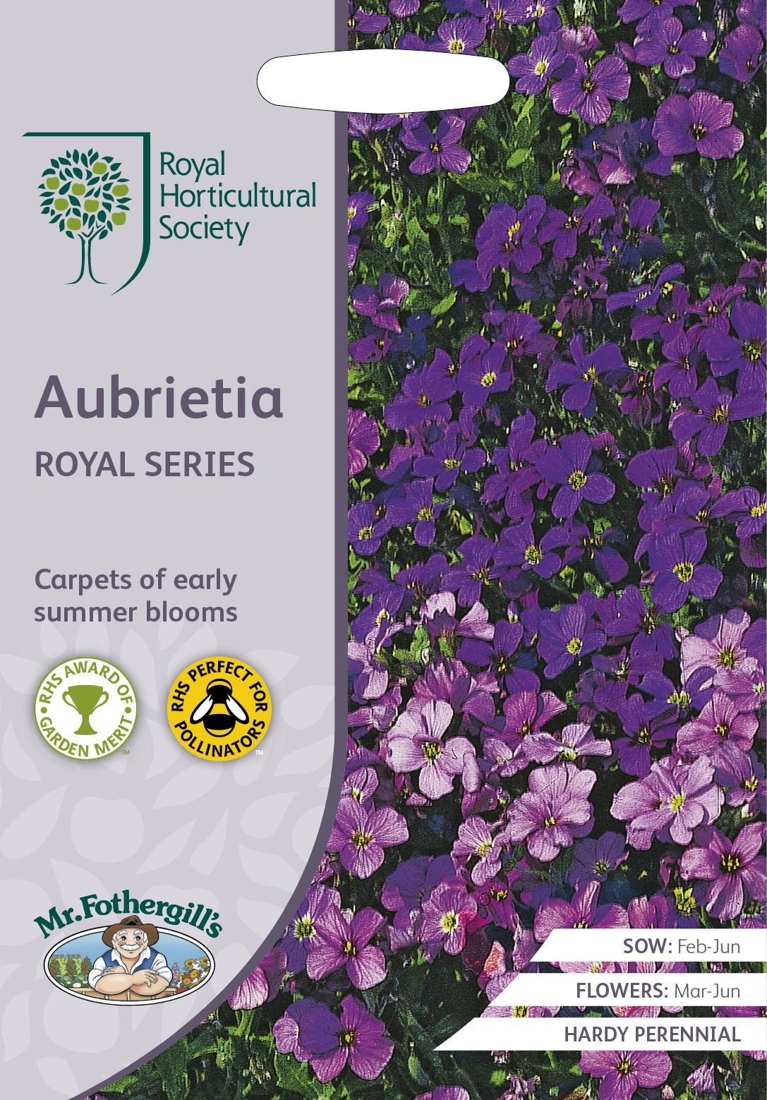 Flower - RHS Aubrieta Royal Series - 400 Seeds