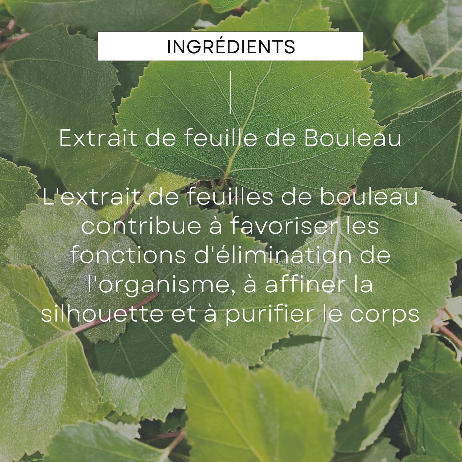 WELEDA - Crème de Douche gommante au Bouleau - Nettoie et exfolie en douceur - Respecte l'équilibre naturel de la peau - Vegan** - 150 ml