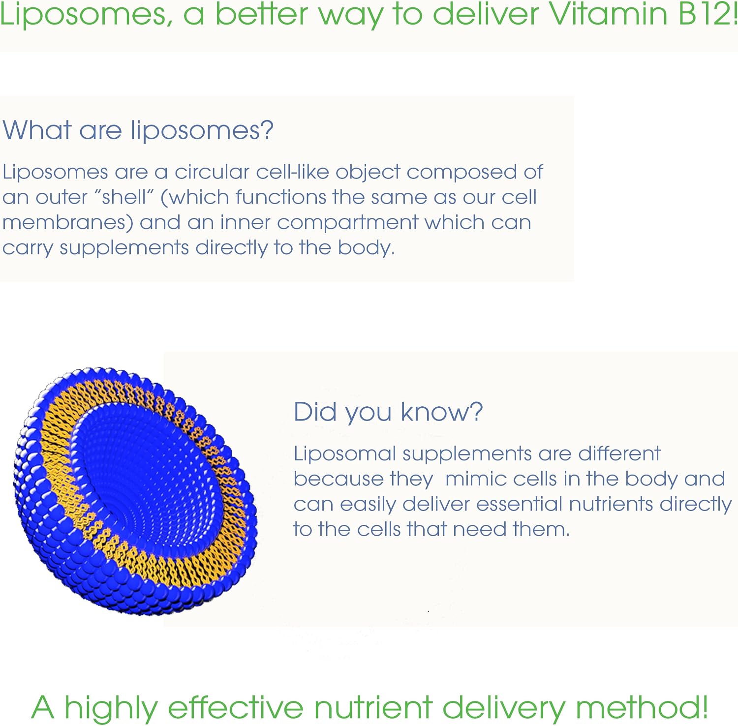 UltimateVitality Liposomal Curcumin Liquid, Liposomal Delivery System for Maximum Absorption Enhanced with Resveratrol from Japanese Knotweed 30 Servings