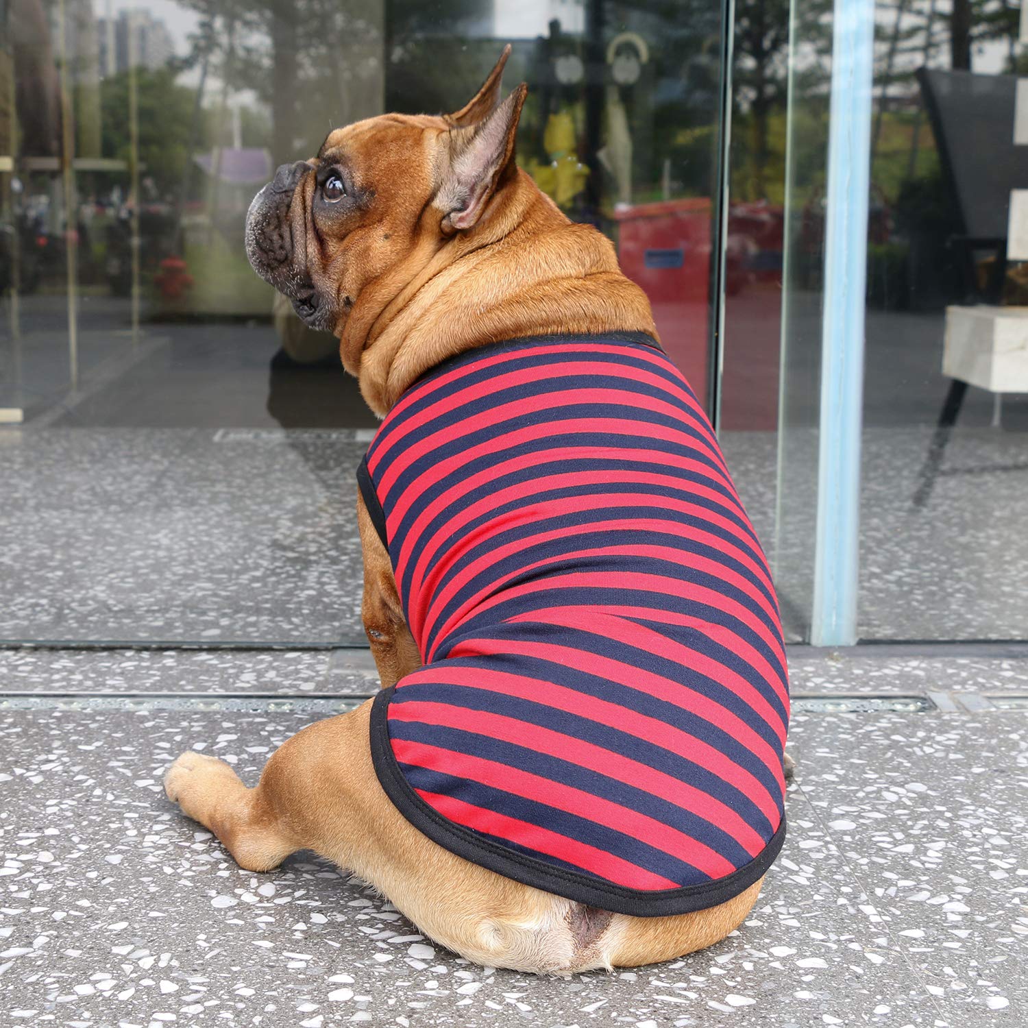 iChoue English Bulldog Striped T Shirts Clothes for Medium Dogs Vest Tank Tops Puppy Large French Frenchie Pug Boston Terrier Pitbull Red Blue Strips - Image 4