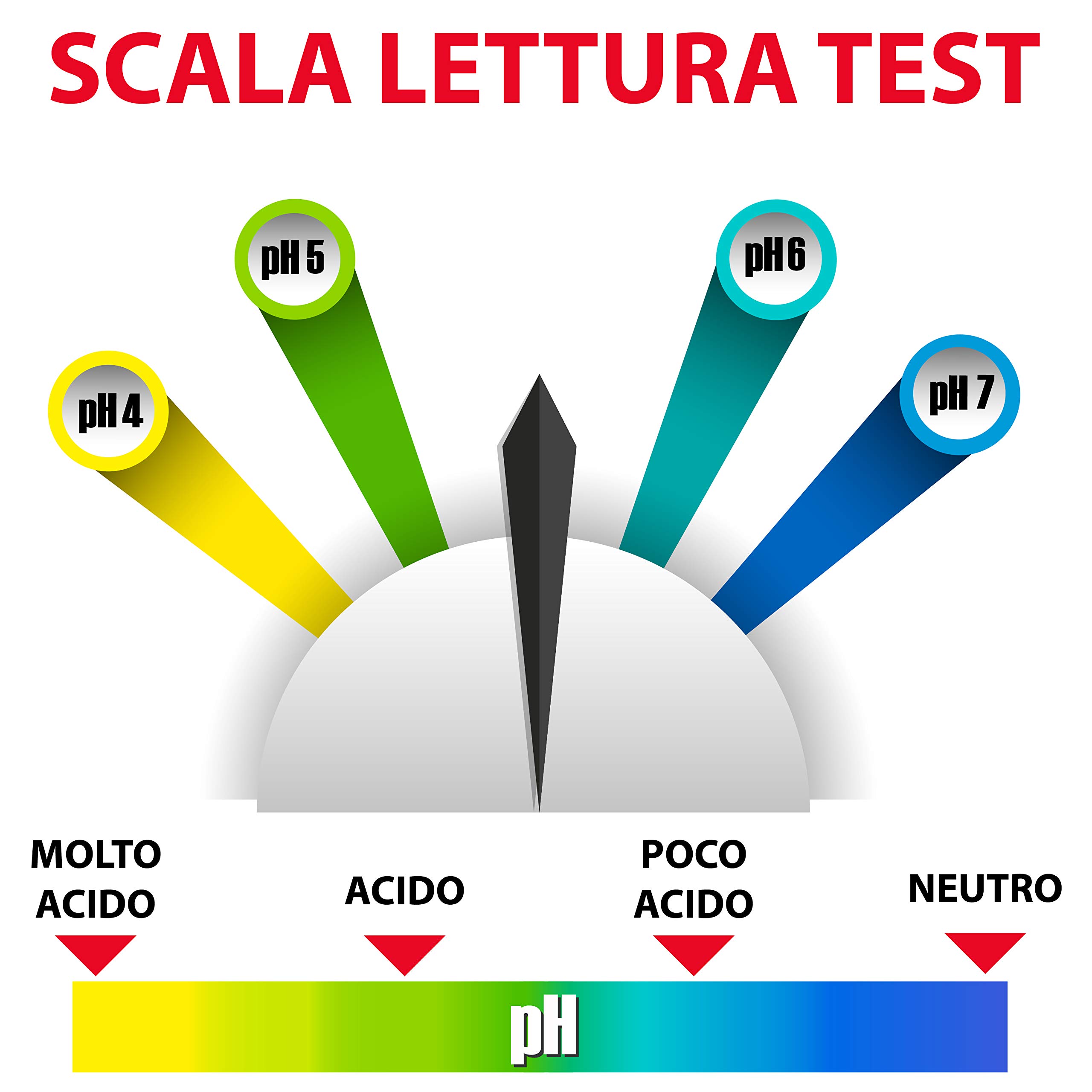 Neudorff Lot de 3 tests de pH au sol pour une identification simple et précise des besoins calcaires (pH de la valeur du plancher)