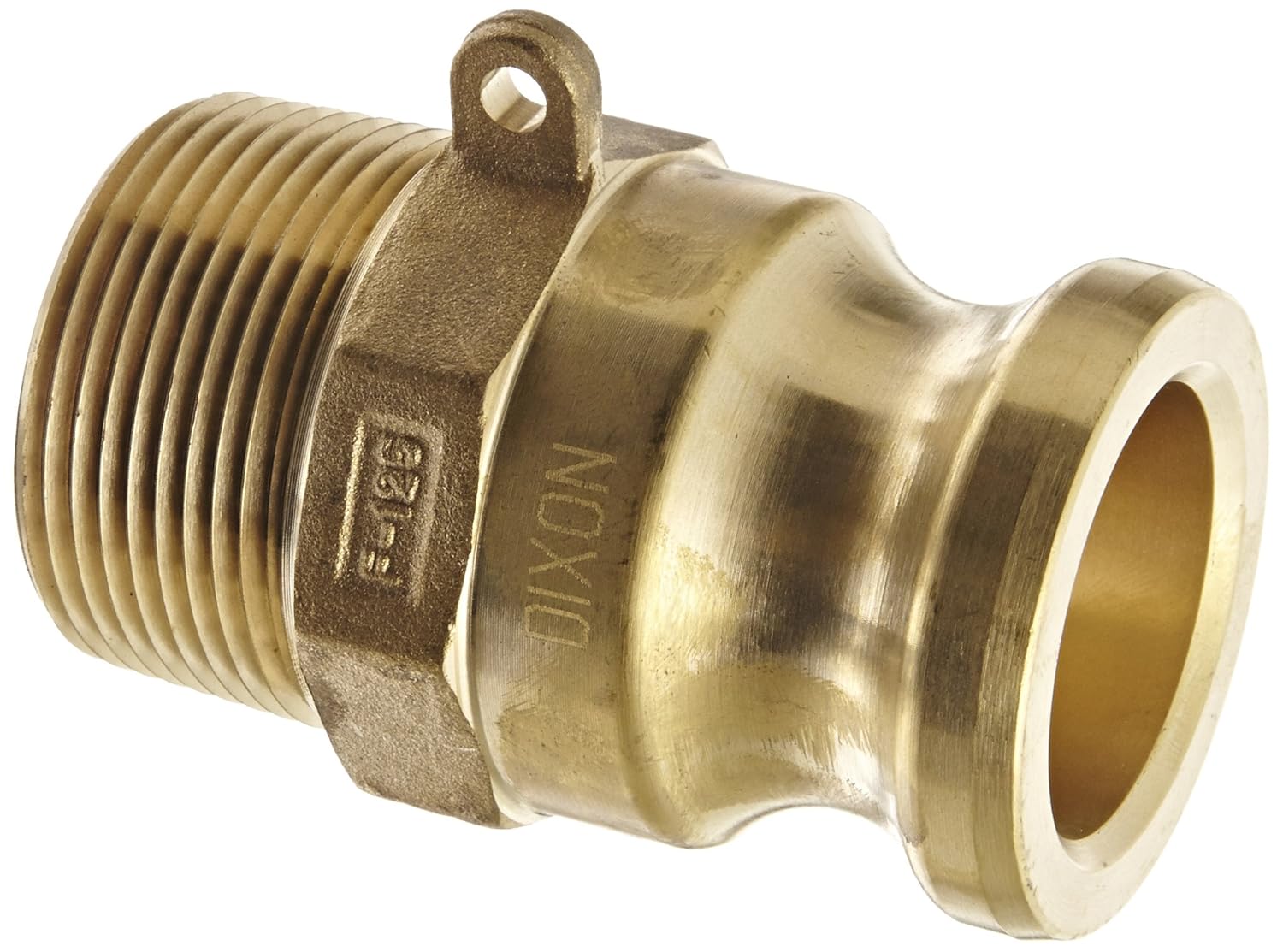Dixon G200-F-BR ASTMC 38000 Forged Brass Global Type F Cam and Groove Hose Fitting, 2" Plug x 2" NPT Male