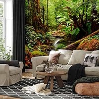 Vista 97 de artgeist Mural de Pared Forestal 154x122 pulg - Adhesivo de Pared Autoadhesivo para Despegar y Pegar, Adhesivo de Pared, Adhesivo de Foto