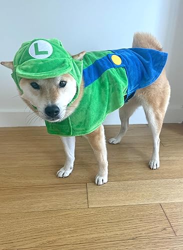 Miniatura 8 de ComfyCamper Disfraz de perro con sombrero y tirantes  Disfraz de Halloween de estrella de laboratorio para cosplay, talla XL, amarillo