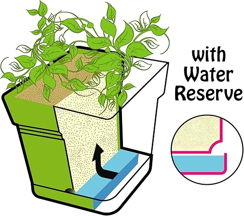 Miniatura 41 de Mintra - Macetas de plástico para plantas, maceta cuadrada para plantas de interior y exterior, macetas de jardín con platillos y agujeros de verde