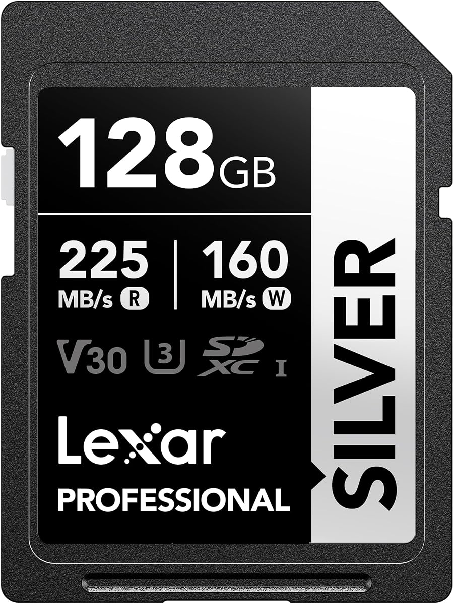 128GB Silver SD Memory Card, 225MB/s Read, 4K, V30, U3, UHS-I | Compatible w/ Canon, Sony, Nikon, Ideal for Professional Photographer, Videographer, Enthusiast, LSDSILV128G-BNNNU