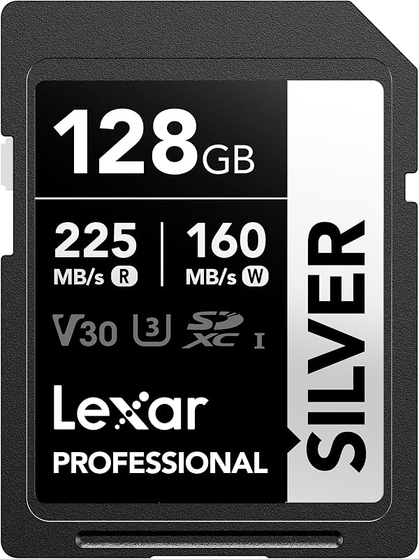 128GB Silver SD Memory Card, 225MB/s Read, 4K, V30, U3, UHS-I | Compatible w/ Canon, Sony, Nikon, Ideal for Professional Photographer, Videographer, Enthusiast, LSDSILV128G-BNNNU