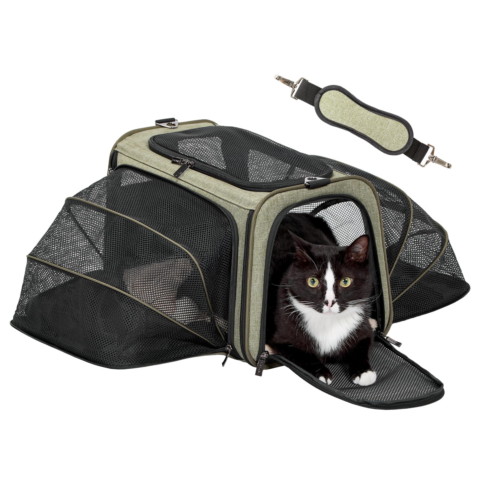 Petsfit Expandable Cat Dog Carrier Airline Approved, 17" L x 11" W x 11" H Soft-Sided Portable Pet Travel Carrier for Kitten, Puppy, Removable Soft Plush Mat and Pockets, Auto-Locking Zippers