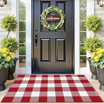 Outdoor Rugs, Red and White Area Rug Checkered 24x37