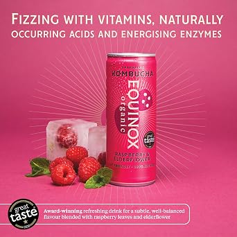 Equinox Kombucha Drink Raspberry & Elderflower Real Fruit Kombucha Flavours (24 x 250ml) | Authentic Craft Kombucha Brewed in UK with SCOBY, Green Tea & Raw Cane Sugar | No Sweeteners & 100% Natural