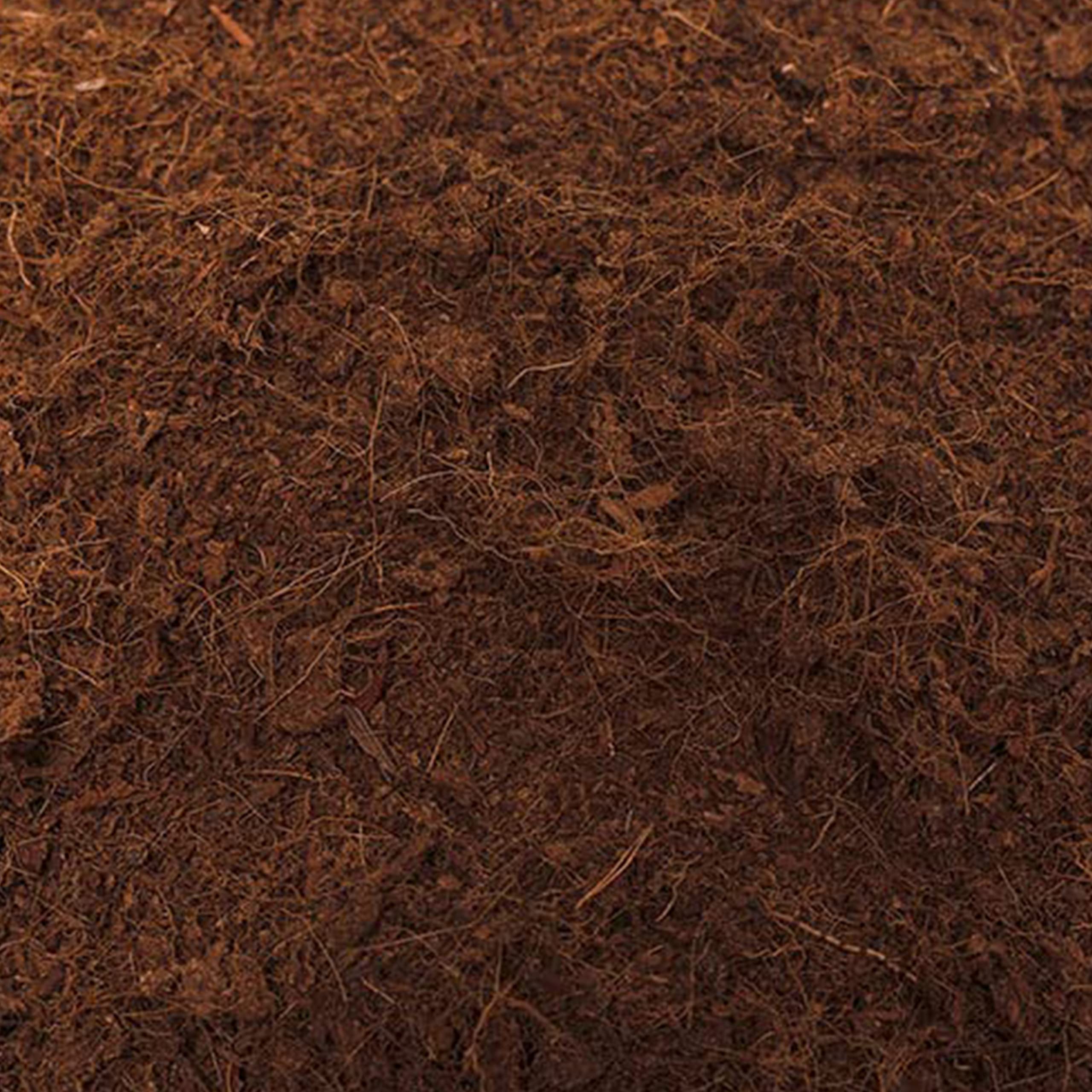 PLANTAWA Fibra de Coco Natural 70L | Sustrato para Plantas y Terrarios | Coco Sostenible Natural y Nutritivo | Retiene Humedad y Mejora Aireación