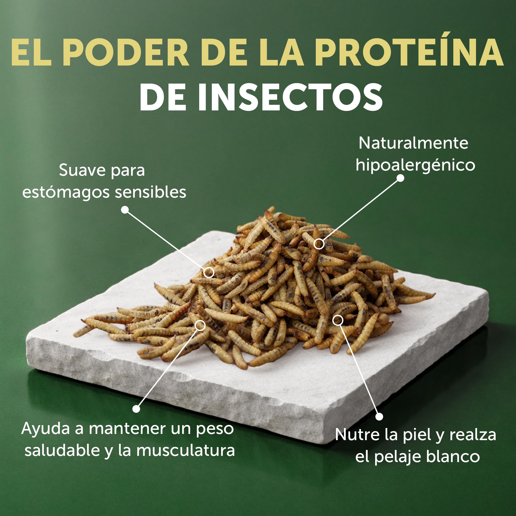 Natures PROT White Dog Adult Small Grain Free Insectos 1,5KG