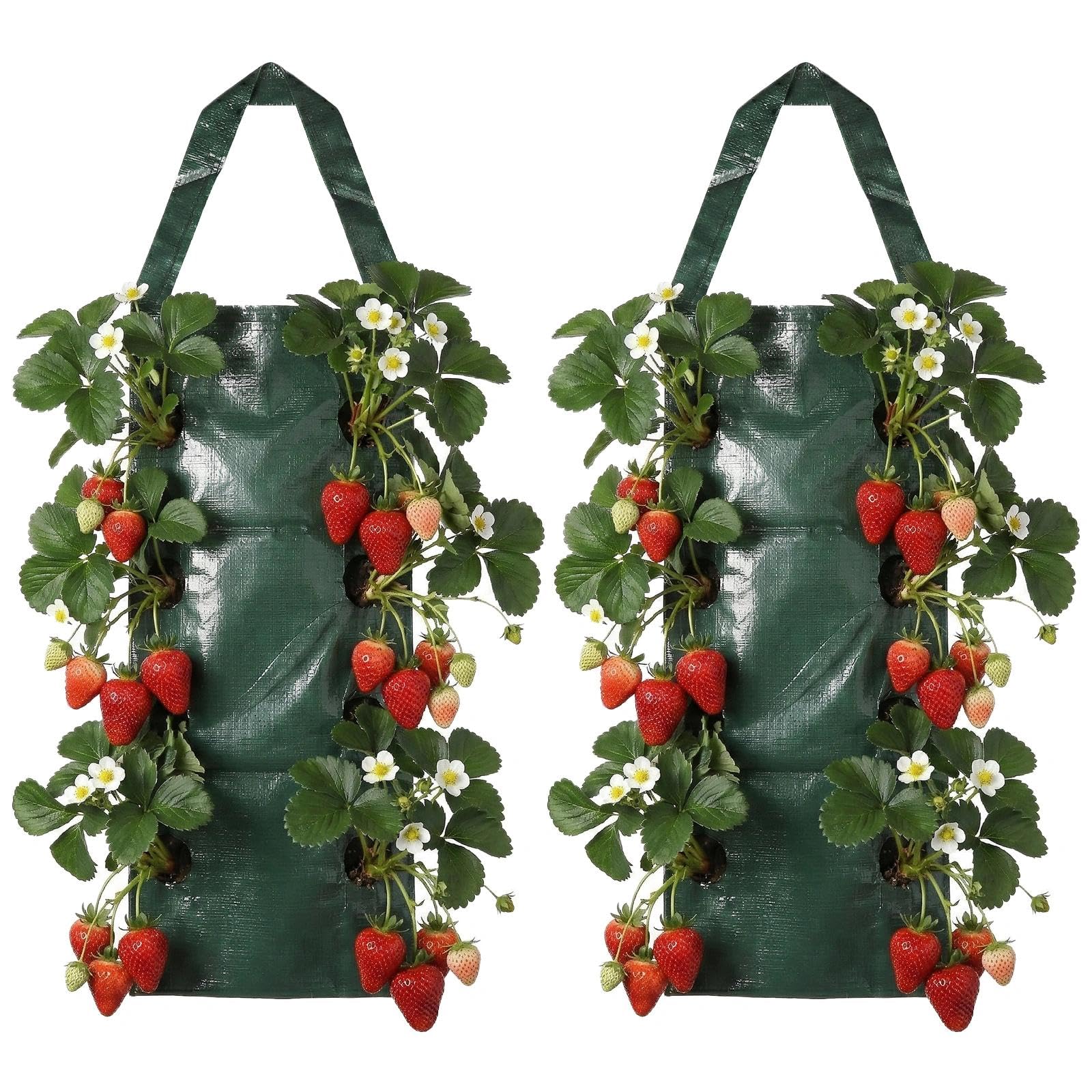 2 PCS Bolsa de Plantación, Bolsas de Plantas de Plástico Colgadas Verticalmente, Bolsas de Plantas Transpirables con 8 Agujeros, Jardin Vertical Bolsas de Cultivo para Plantas Fresas Hierbas Verduras