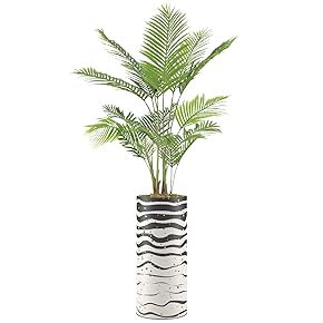SIGNWIN Areca Palm Tree with Wavy Black &...
