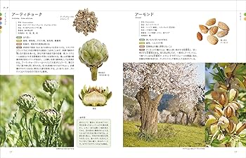 【中古】 ハーブ・スパイス・漢方薬 シルクロードくすり往来/丸善出版/本多義昭 中古】 ハーブ・スパイス・漢方薬 シルクロードくすり往来/丸善
