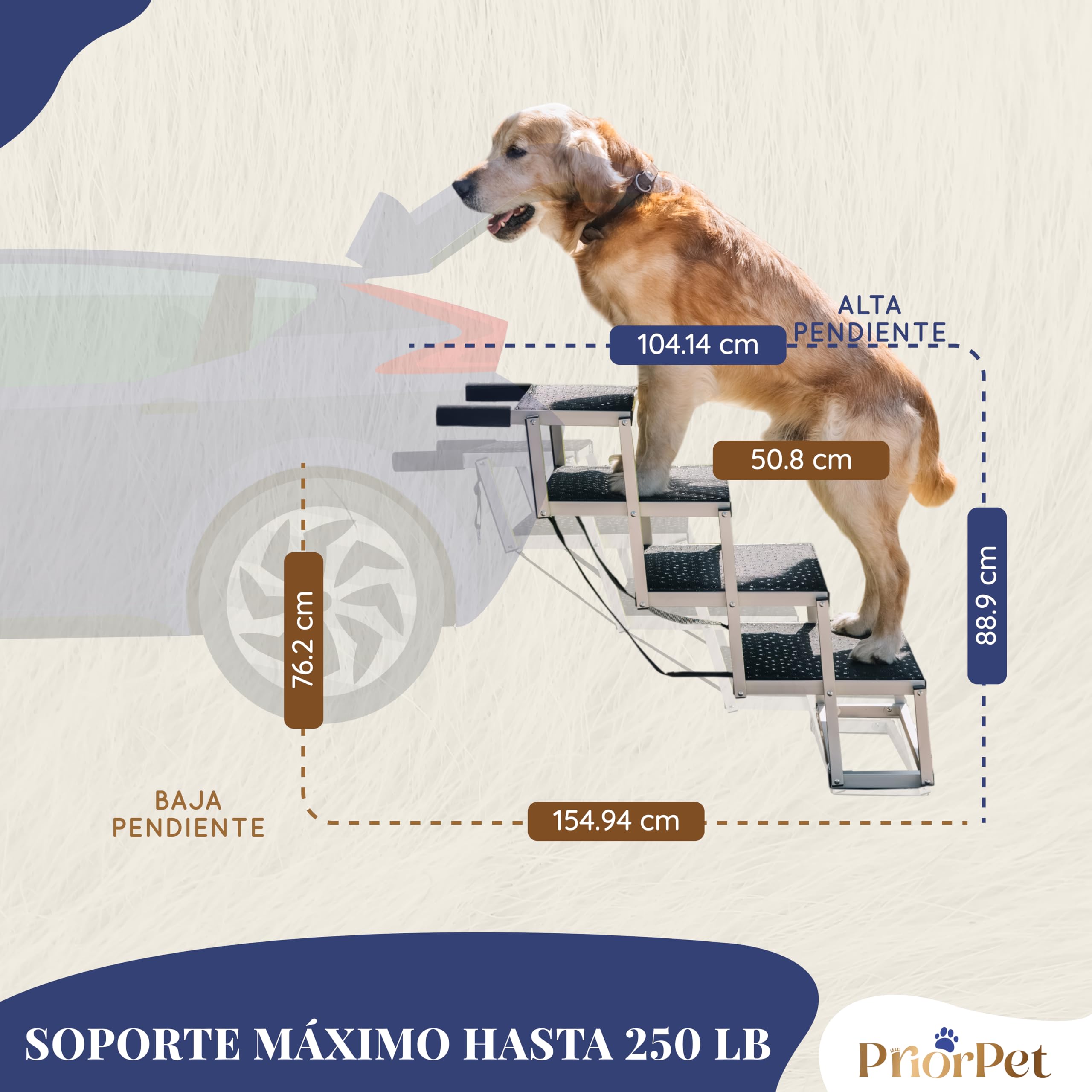Escalera para Perros Coche Plegable – Escalera Extra Ancha para Perro Grandes – Rampa para Coches Altos y SUV – Brilla en la Oscuridad – Superficie Antideslizante – hasta 105 kg – 4 peldaños