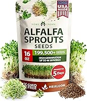 Vista 118 de HOME GROWN Semillas de eneldo sin OMG para plantar 1,014 ramos de semillas de eneldo y semillas de hierbas tradicionales para plantar al aire libre