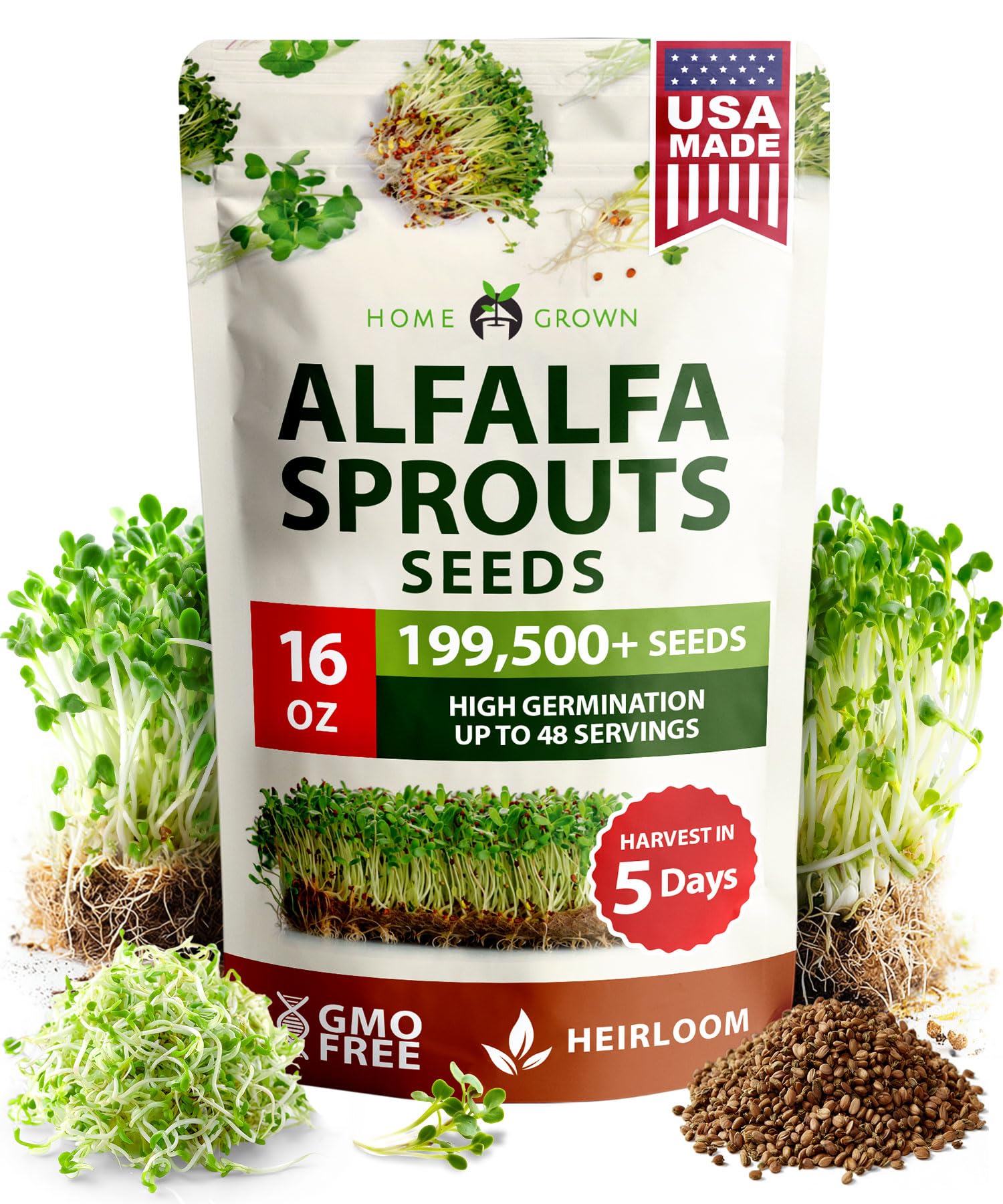 HOME GROWN Non GMO Alfalfa Sprout Seeds 16oz Bulk Pack with Thousands of Seeds Alfalfa for Sprouting & Microgreens Indoor Outdoor Growing Resealable Bag High Germination