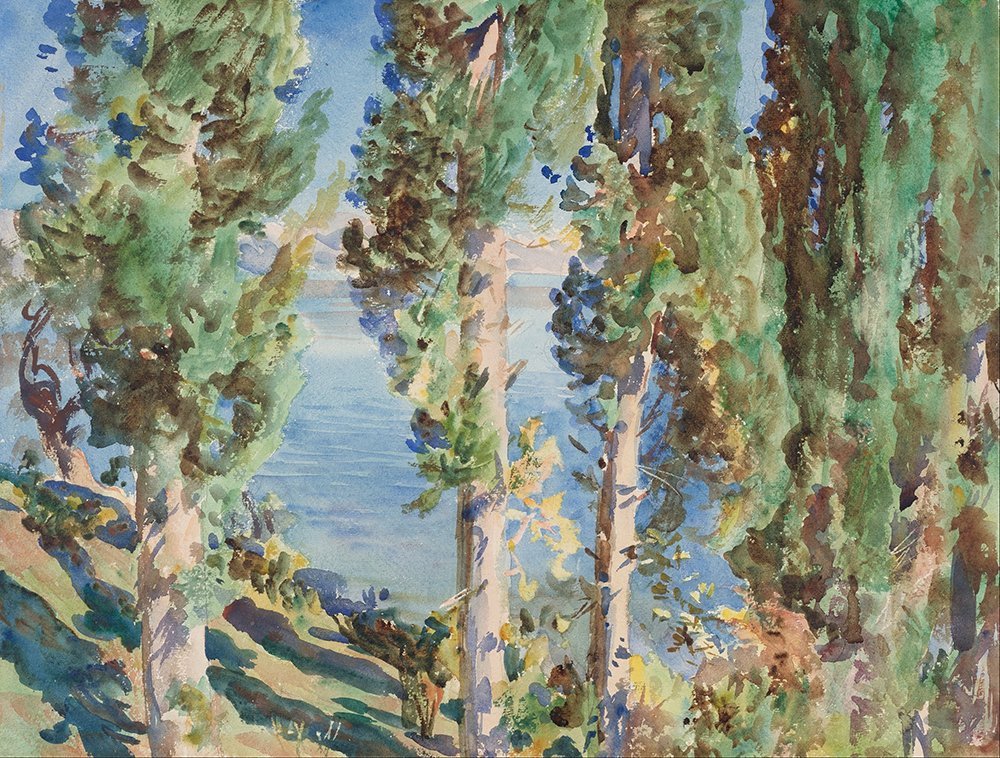 Decora sin reflejos con la lámina mate Corfu Cypresses de Sargent en formato mediano