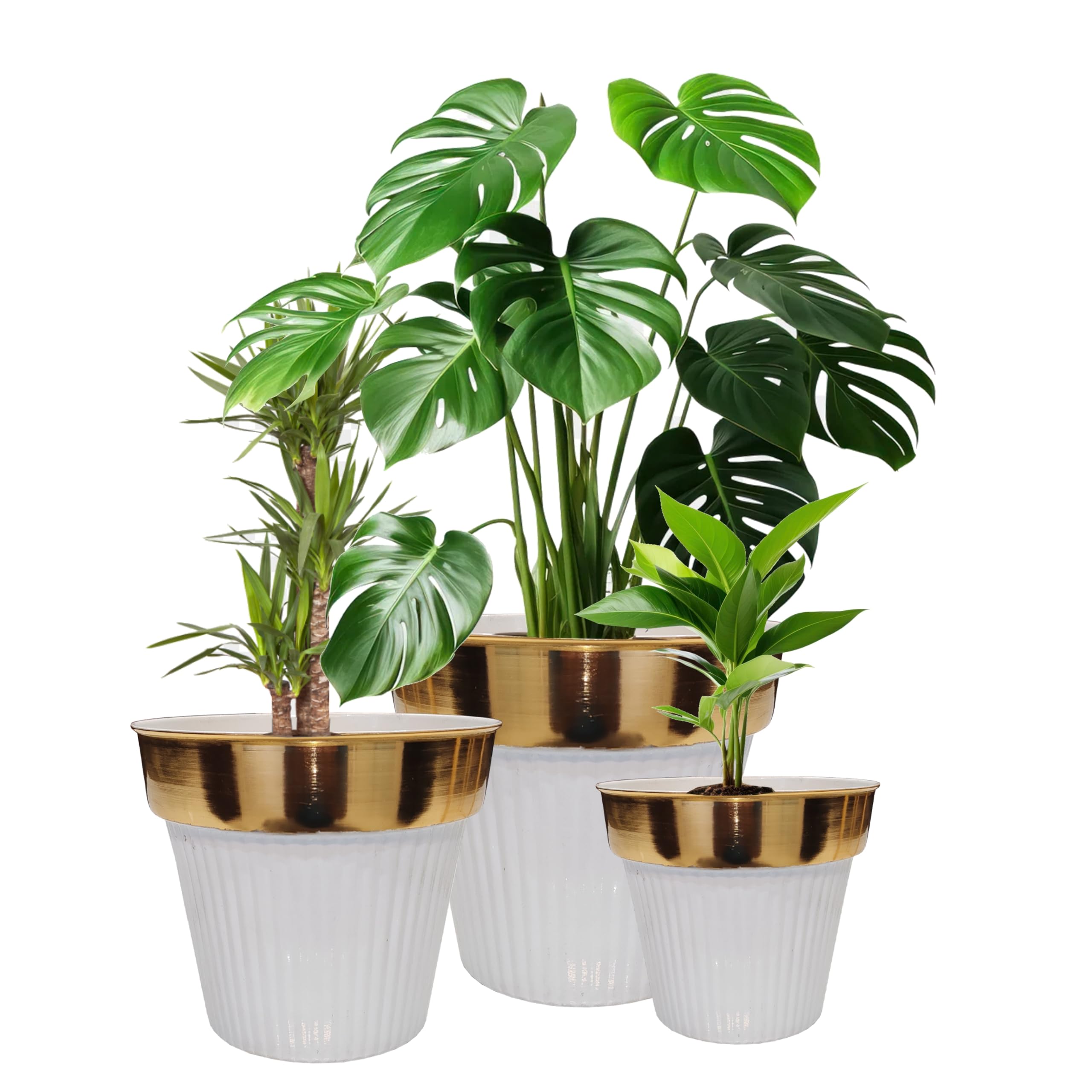 LAQA Bucket Shape Metal Planter Indoor Plant Pot Set White Gold Set of 3 Pieces (B0DH3KWVJW) Amazon Price History, Amazon Price Tracker