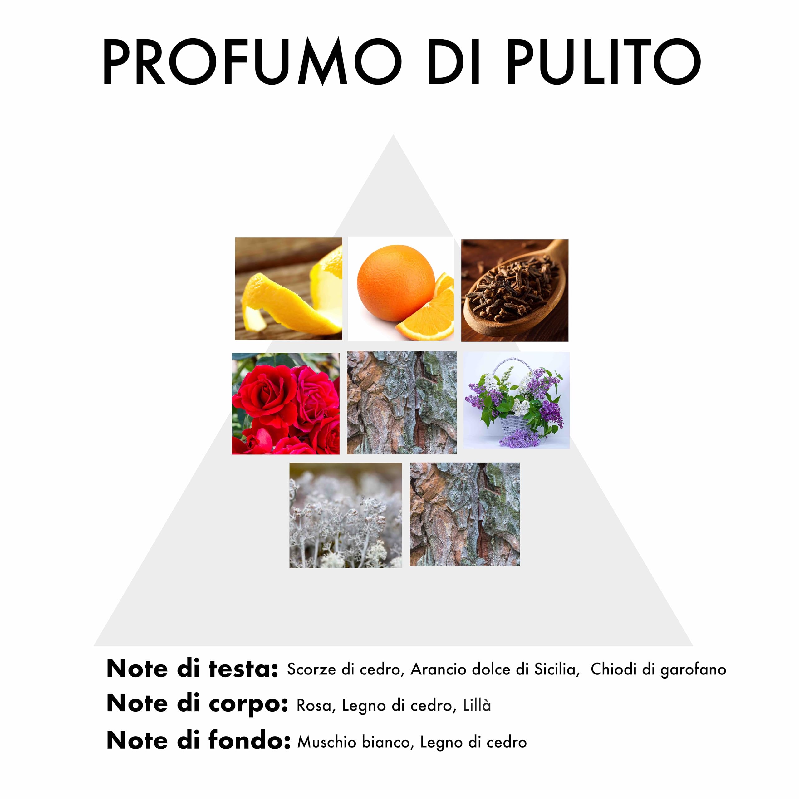 Profumo per Bucato con Note Agrumate e Fiorite | concentrato per Lavatrice 250ml | 50 lavaggi