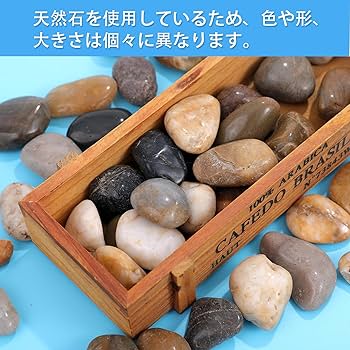 Amazon | ピュアシーク 天然五色石 紫光石 彩り石 プチアクアの