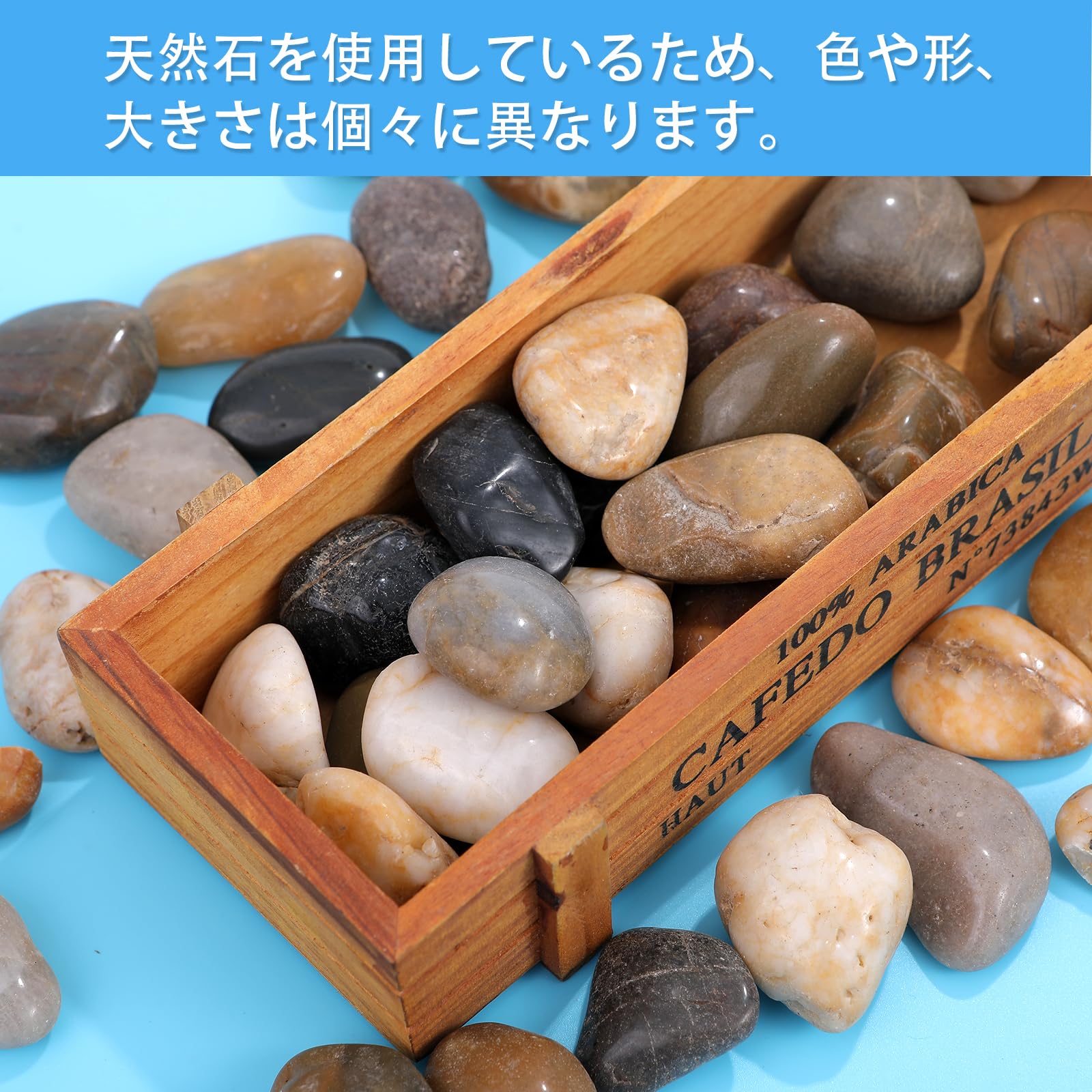 Amazon | ピュアシーク 天然五色石 紫光石 彩り石 プチアクアの石 大磯