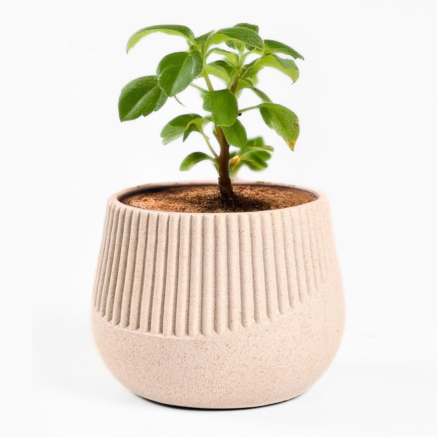 Eha Earth Friendly Oreo 4 inch Small pots for Indoor Plants | Plant Pot Made with Bamboo Fibers | Table Top Planters for Home Decor and Office, Flower Pot for Living Room | 1 Unit, Sand Castle