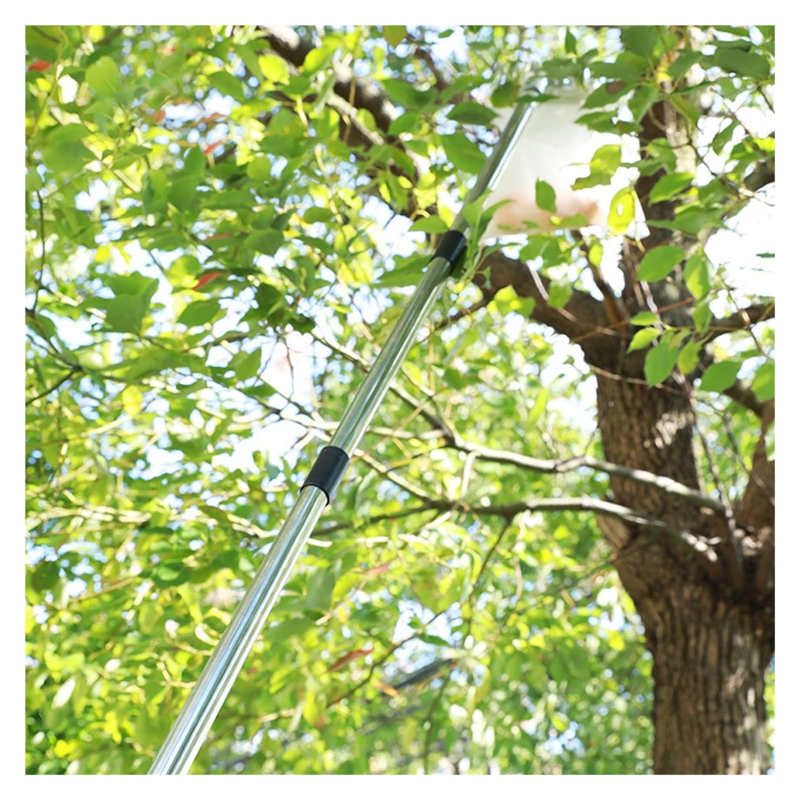 Recogedor De Frutas Recolector de frutas de 3,89 m, con pértiga telescópica ajustable, herramienta práctica for huertos, jardín, for manzanas, mangos, limones y naranjas.