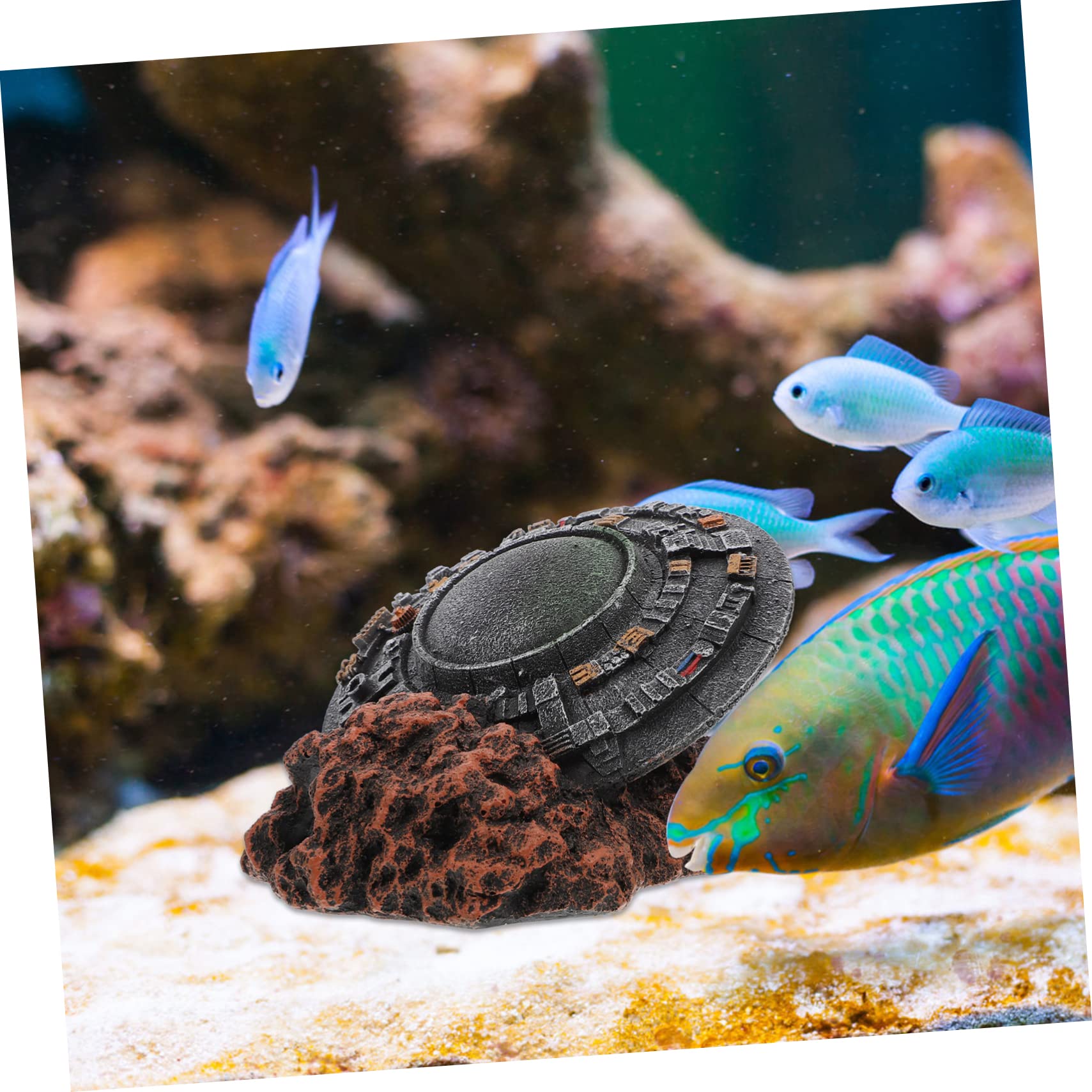 Happyyami Ornement en Résine pour Aquarium, Décoration Intérieure Artificielle Sûre pour l'eau, Adapté à Tous Poissons et Aquariums Décoratifs