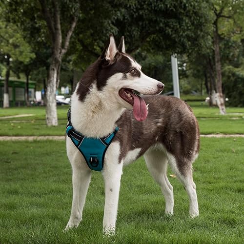 Miniatura 10 de Coohom - Arnés para perro sin tirones con asa y dos accesorios de correa, arnés ajustable para mascotas al aire libre con material Oxford reflejante
