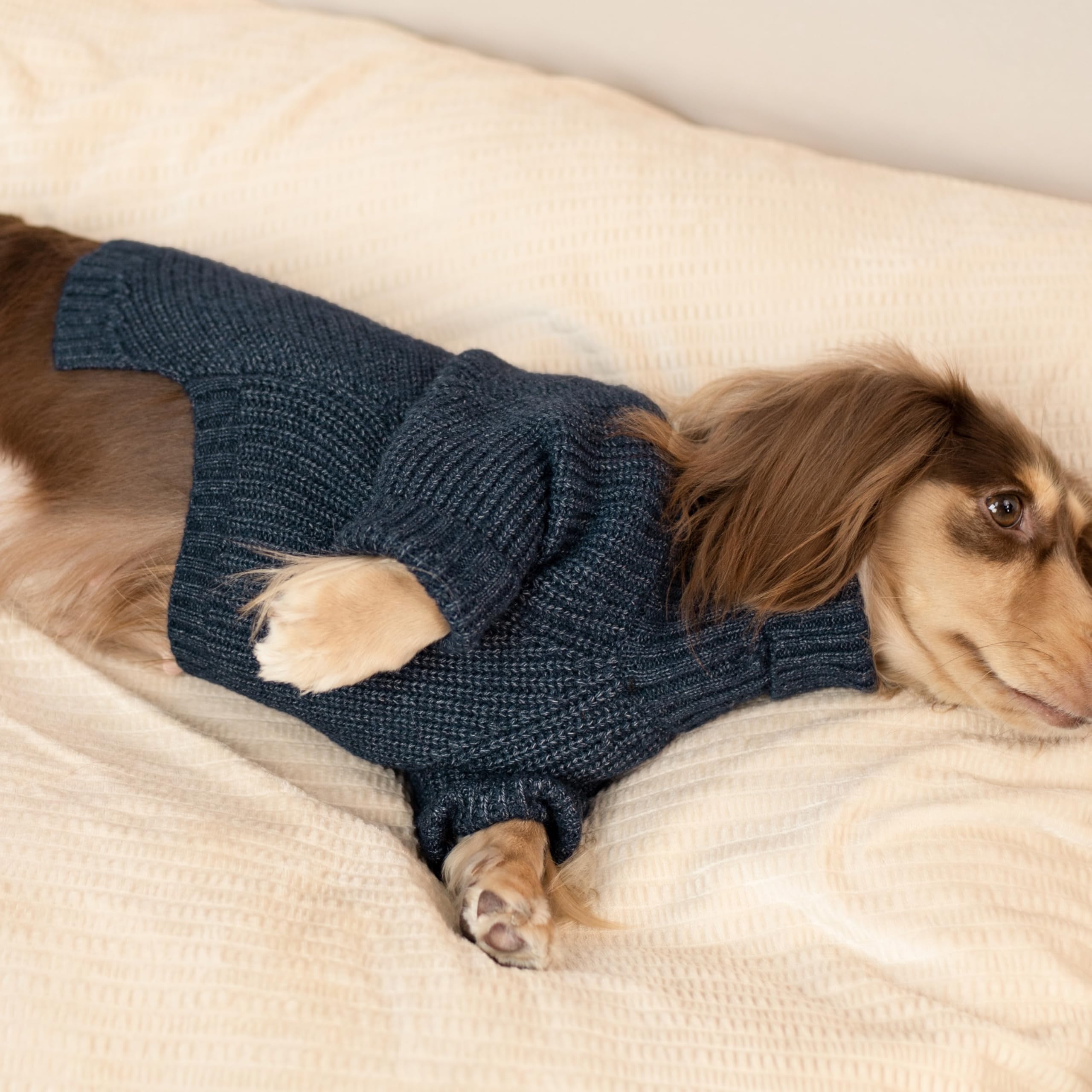 Fitwarm Pull en tricot à col roulé pour chien, vêtements d'hiver thermiques pour chiens de petite taille, garçon et fille, pull confortable pour chiens, pull pour chien, tenue pour animal de
