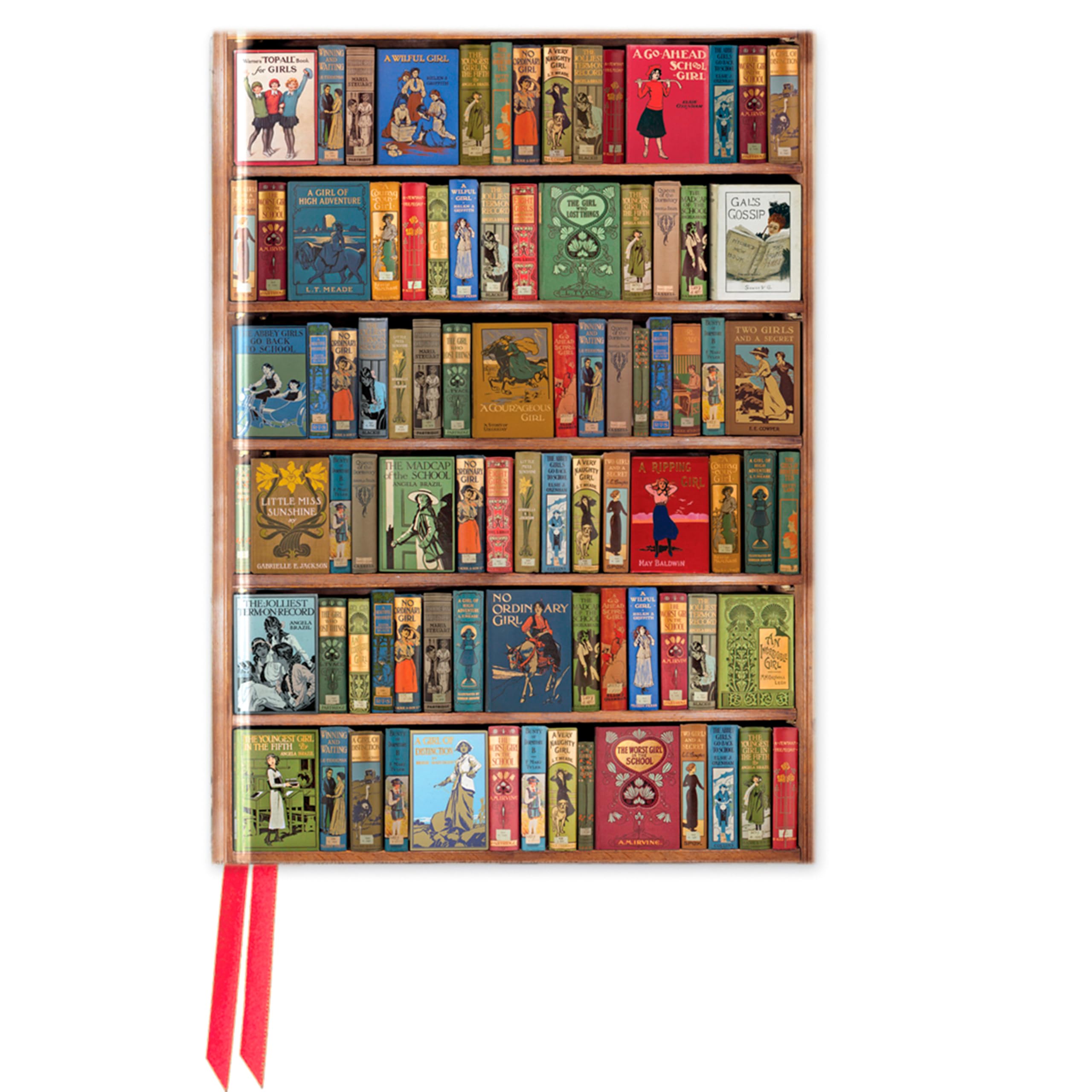 Bodleian Libraries: High Jinks Bookshelves  by Flame Tree Studio NOTEBOOK
