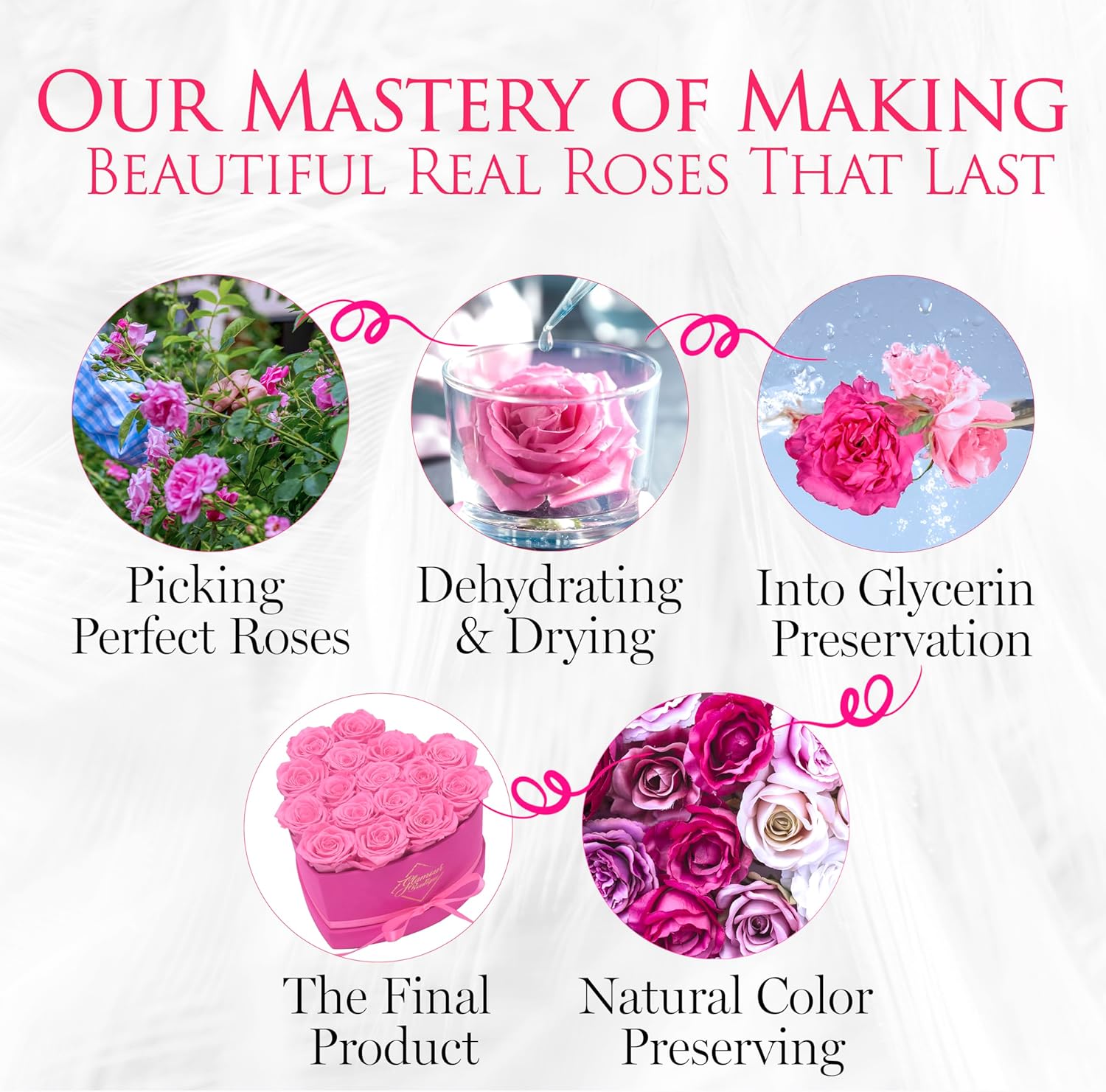 GLAMOUR BOUTIQUE 16 Flower Forever Heart Shape Box, Eternal Preserved Roses Gift for Her, Lasting Flowers, Romantic Floral Keepsake for Birthday Anniversary Valentine’s Day Velvet Pink (Color-Treated) - Image 8