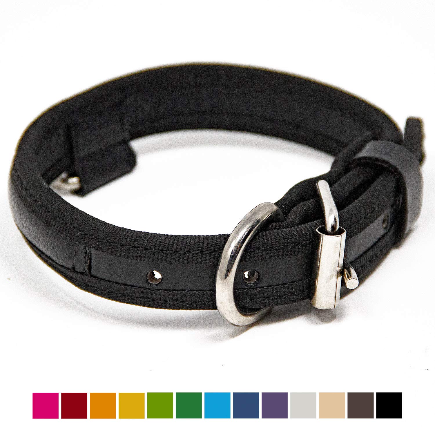 nootie dog shampoo review