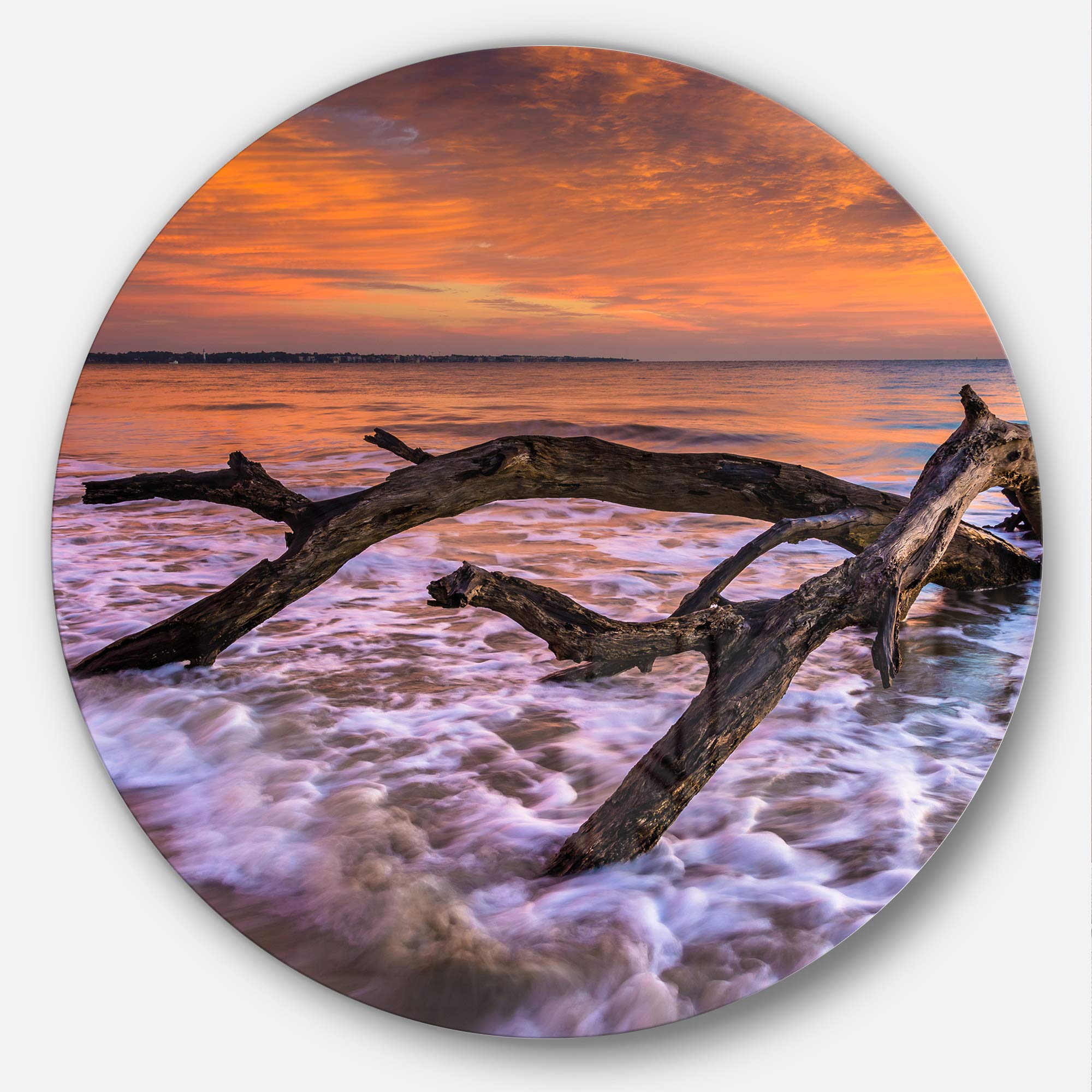 Designart Mt10667-C23 Huge Branch of Tree At Seashore Beach Disc
