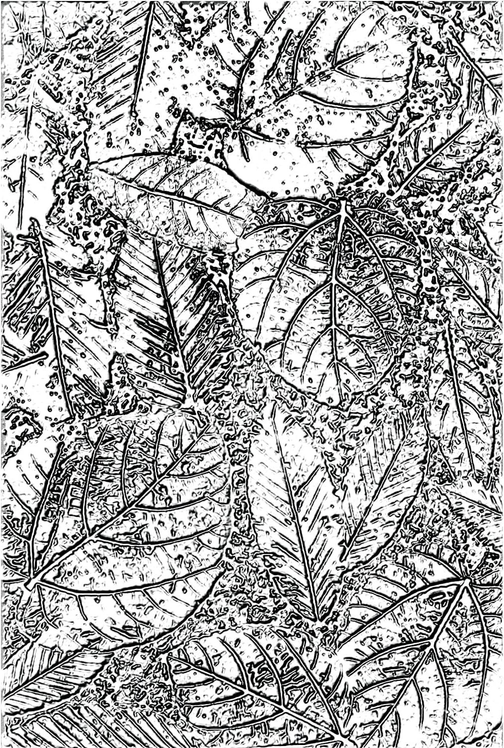 Sizzix 3-D Texture Fades Embossing Folder Foliage by Tim Holtz, 665252, Multicolor, One Size