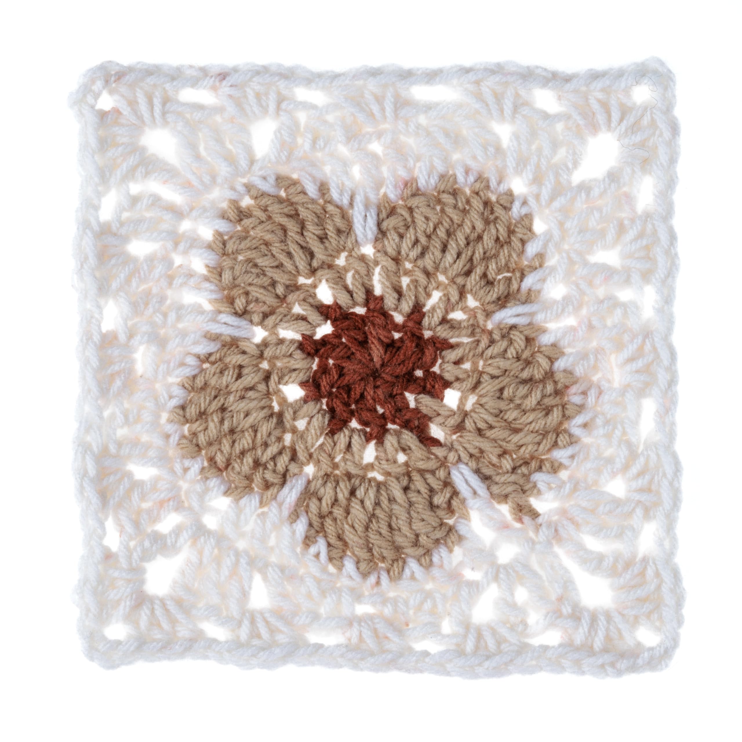 Amazon.com: Red Heart All in ONE Flower Power Dried Bouquet Yarn