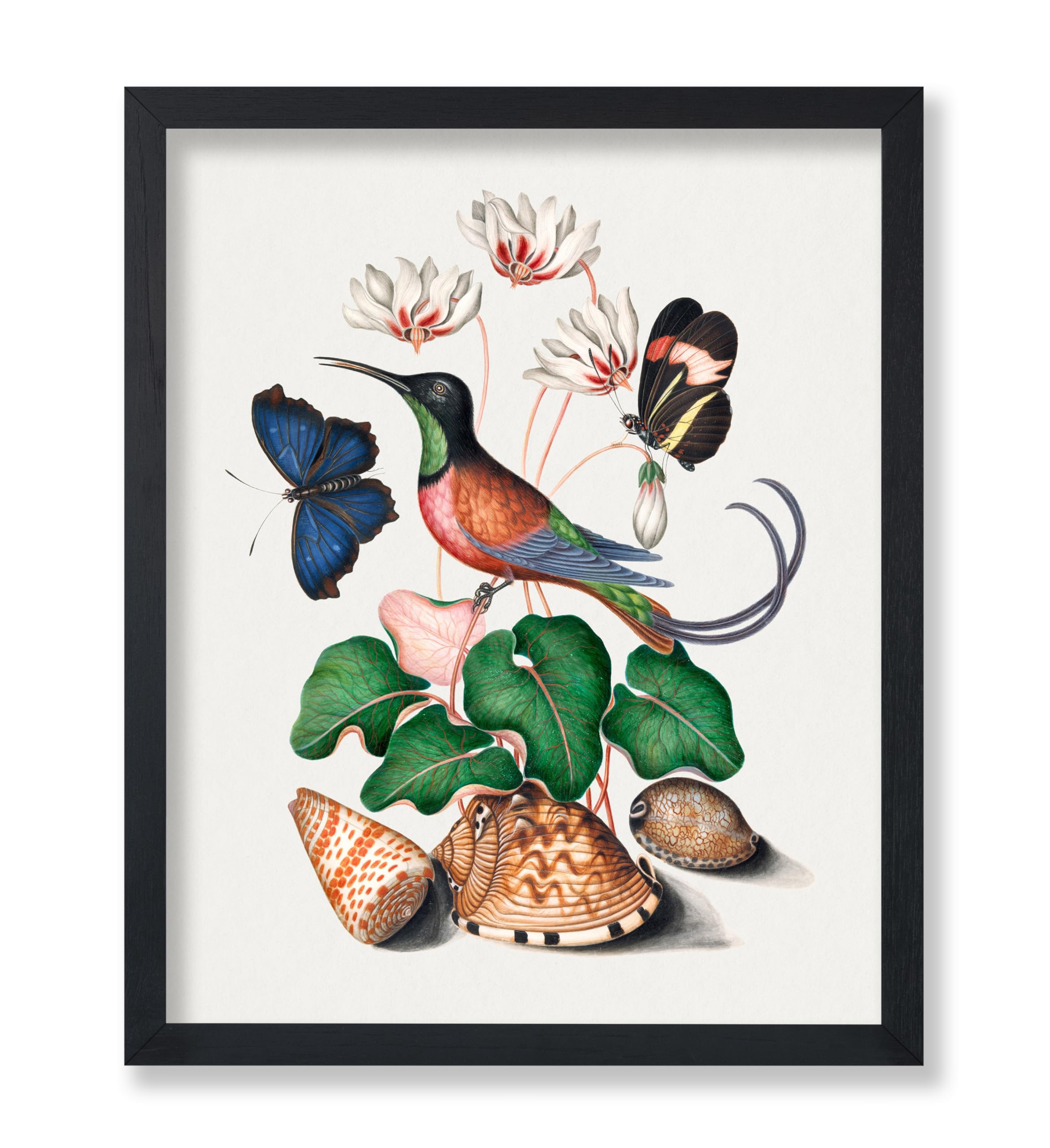 Monem Art Vintage Hummingbird Poster - Retro Hummingbird and Butterflies Print - Bird Art - Flower Art - Gift for Men, Women & Animal Lover - Decor